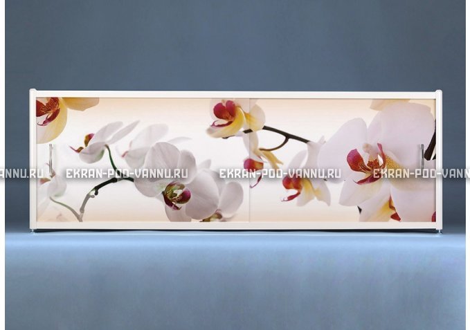 Раздвижной ФОТО экран - Orchid – купить по цене 8500 руб. в интернет-магазине в городе Иваново картинка 1