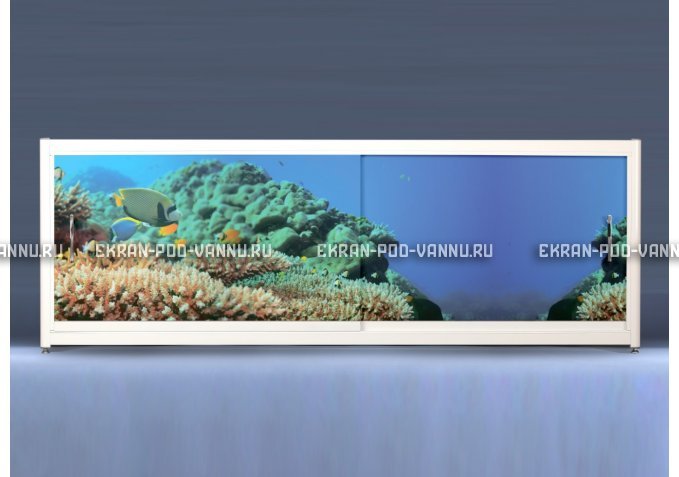 Экран на роликах EUROPLEX Коралловые рифы – купить по цене 12400 руб. в интернет-магазине в городе Иваново картинка 1